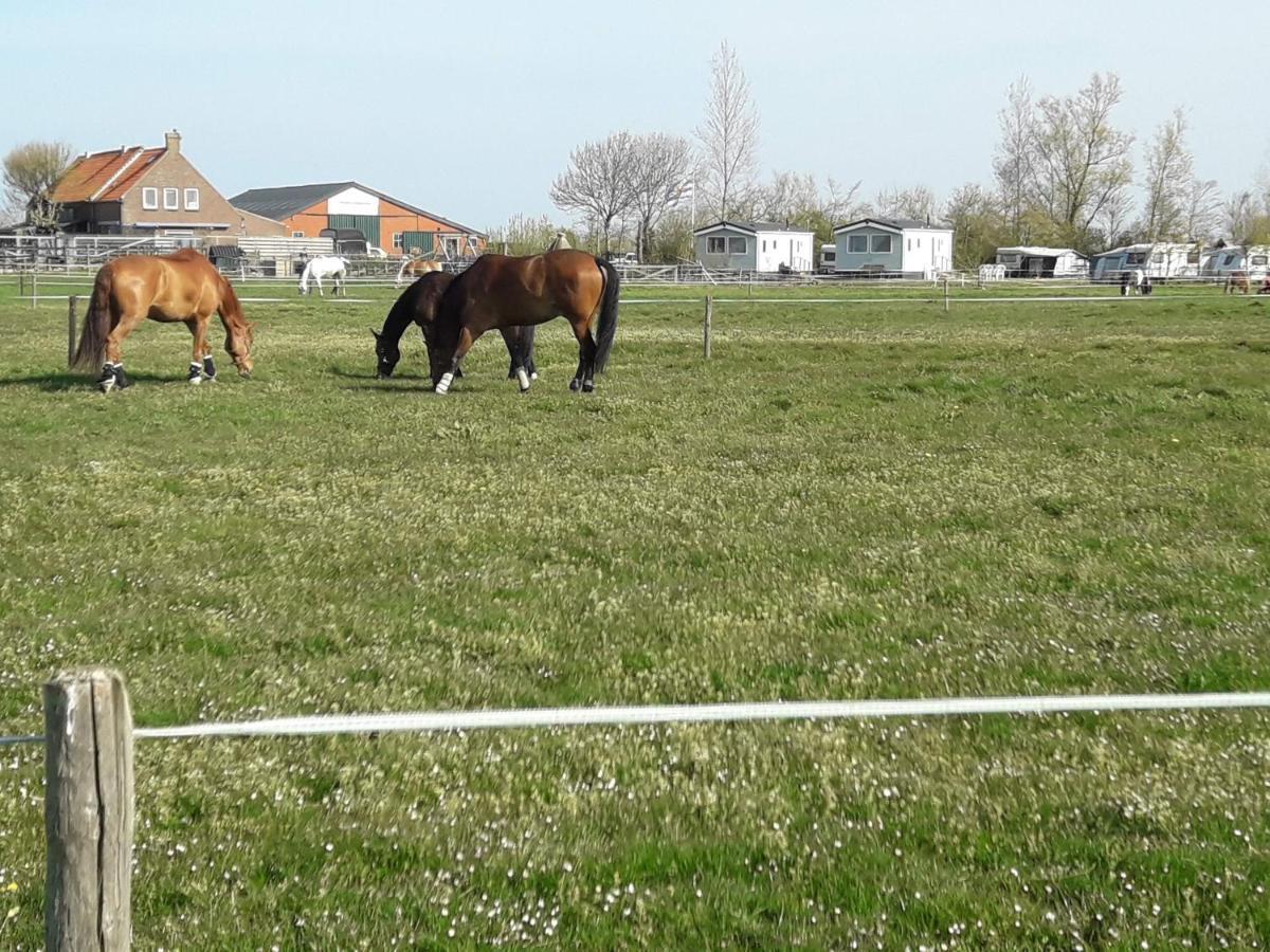 Chalet Weizicht Op Minicamping Hoogelande Grijpskerke Exteriér fotografie