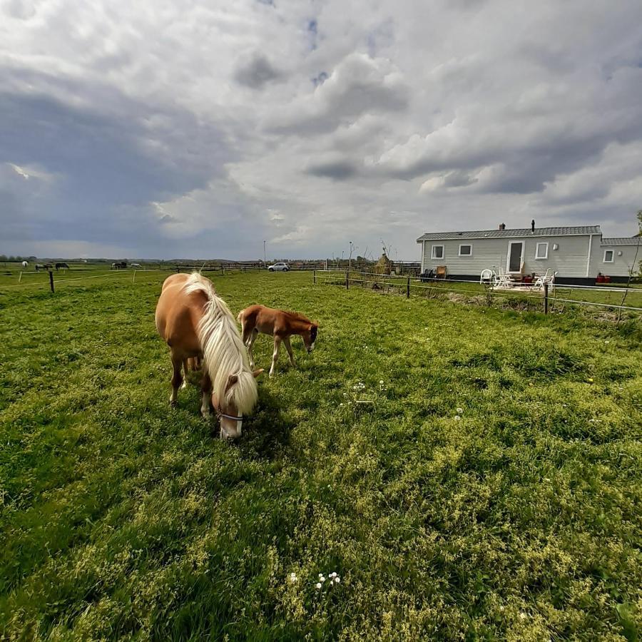 Chalet Weizicht Op Minicamping Hoogelande Grijpskerke Exteriér fotografie