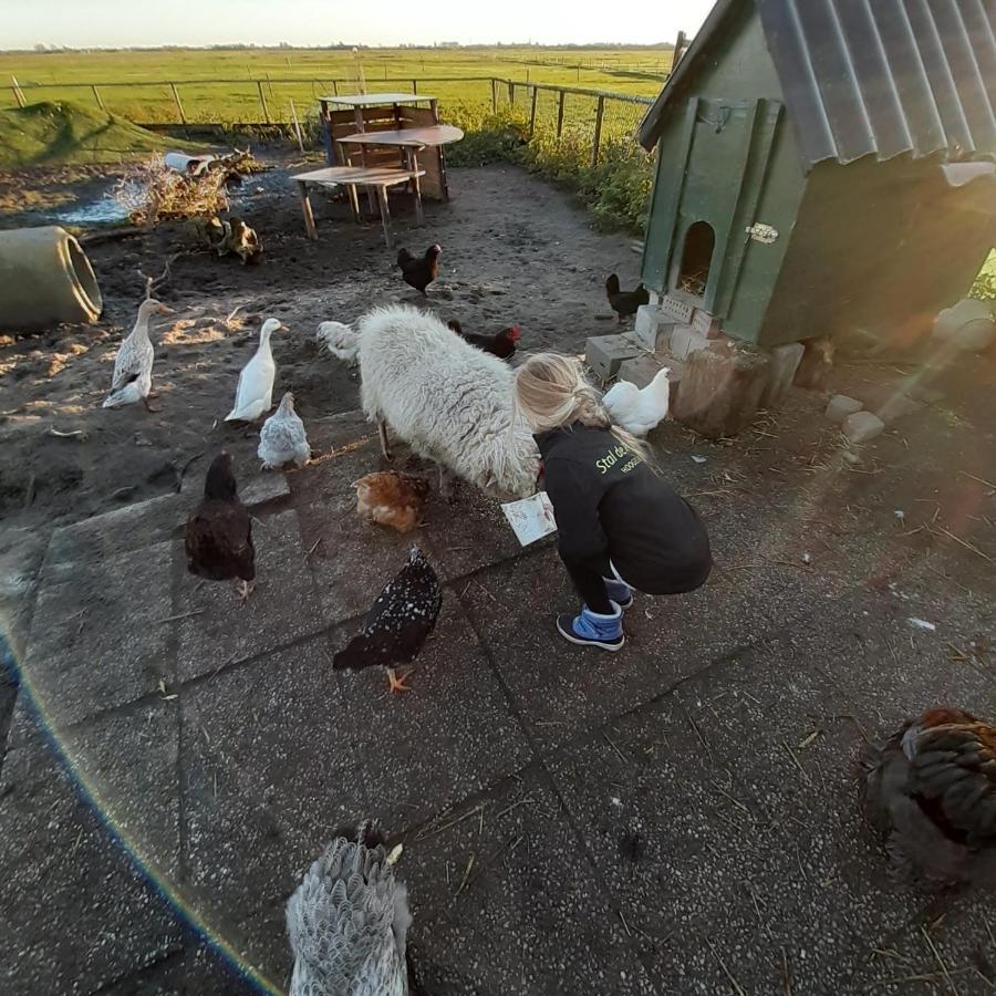 Chalet Weizicht Op Minicamping Hoogelande Grijpskerke Exteriér fotografie